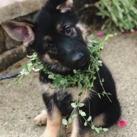 Do you like my necklace? Do you like my necklace?